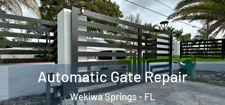 Automatic Gate Repair Wekiwa Springs - FL