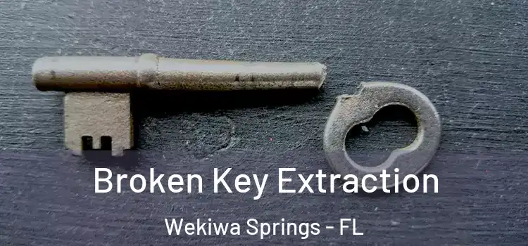 Broken Key Extraction Wekiwa Springs - FL