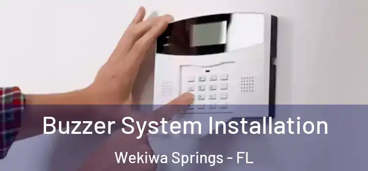 Buzzer System Installation Wekiwa Springs - FL