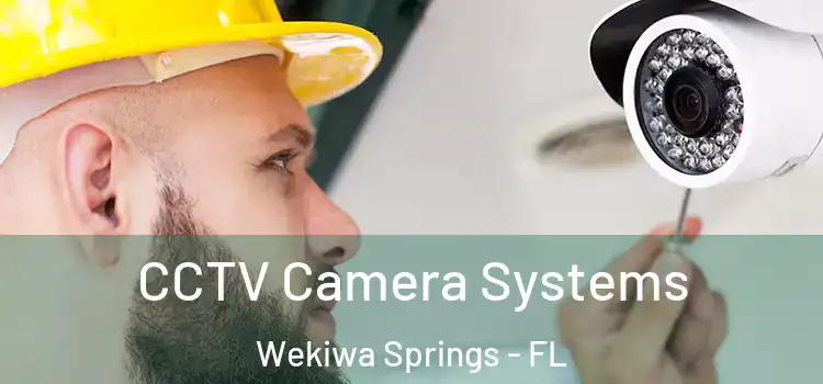 CCTV Camera Systems Wekiwa Springs - FL