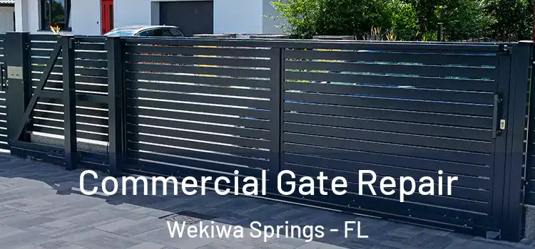 Commercial Gate Repair Wekiwa Springs - FL