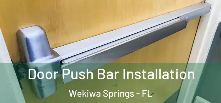 Door Push Bar Installation Wekiwa Springs - FL