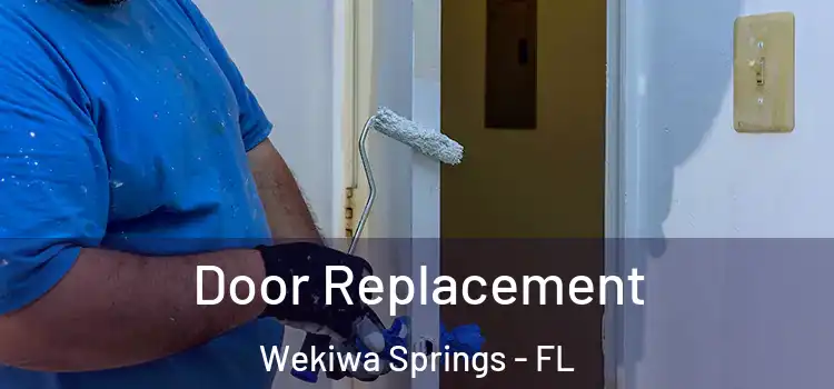 Door Replacement Wekiwa Springs - FL