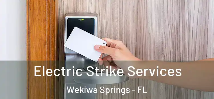 Electric Strike Services Wekiwa Springs - FL