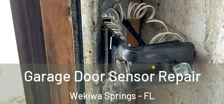 Garage Door Sensor Repair Wekiwa Springs - FL