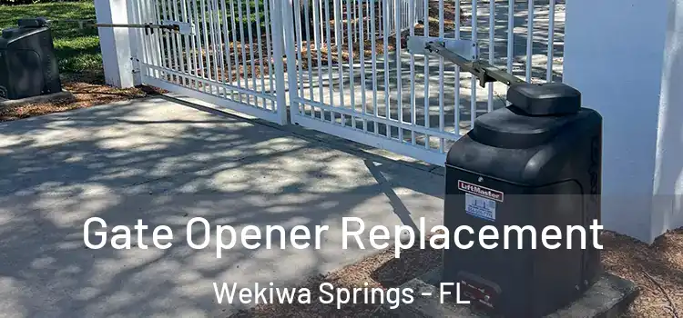 Gate Opener Replacement Wekiwa Springs - FL