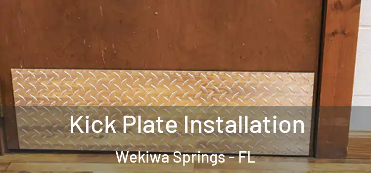 Kick Plate Installation Wekiwa Springs - FL