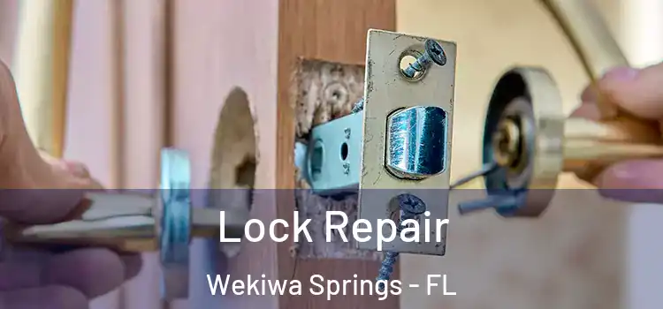 Lock Repair Wekiwa Springs - FL