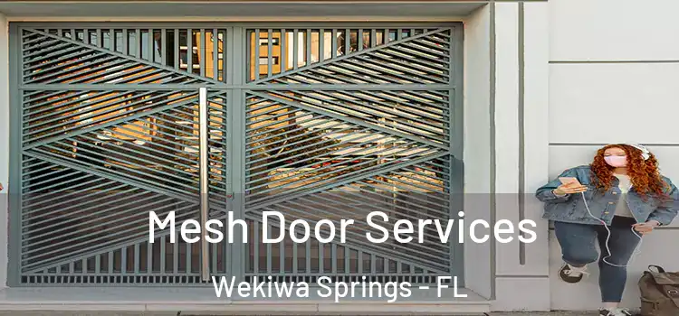 Mesh Door Services Wekiwa Springs - FL