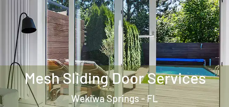 Mesh Sliding Door Services Wekiwa Springs - FL
