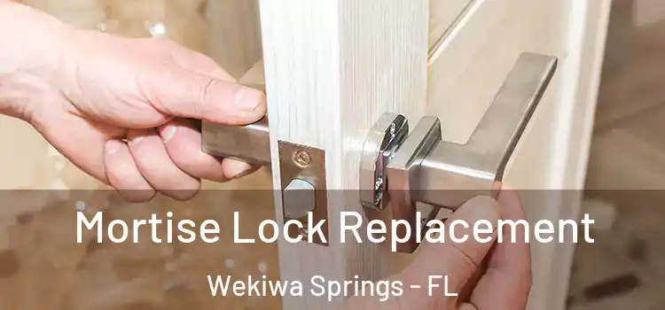 Mortise Lock Replacement Wekiwa Springs - FL