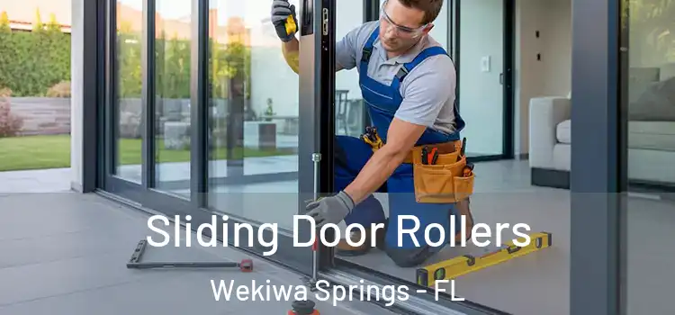Sliding Door Rollers Wekiwa Springs - FL