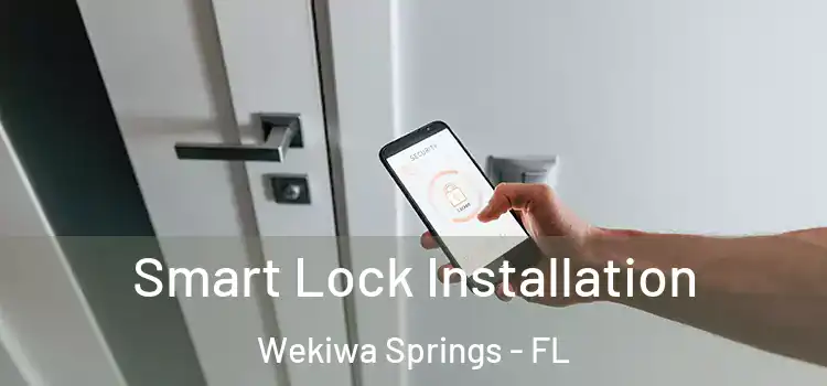 Smart Lock Installation Wekiwa Springs - FL