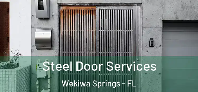 Steel Door Services Wekiwa Springs - FL