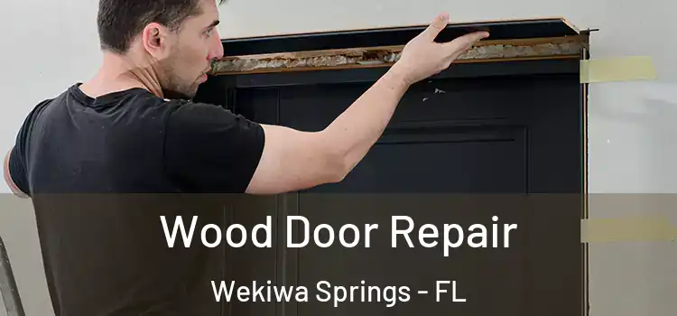 Wood Door Repair Wekiwa Springs - FL